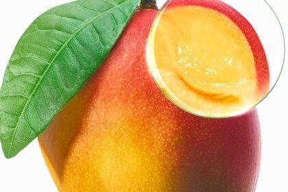 La mangue